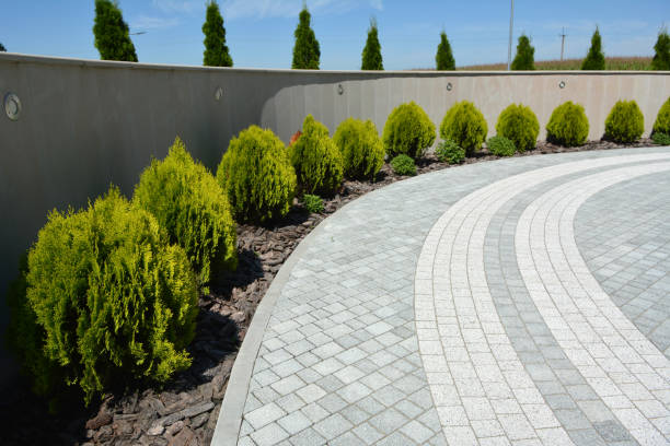 Best Driveway Paving Company  in Monon, IN